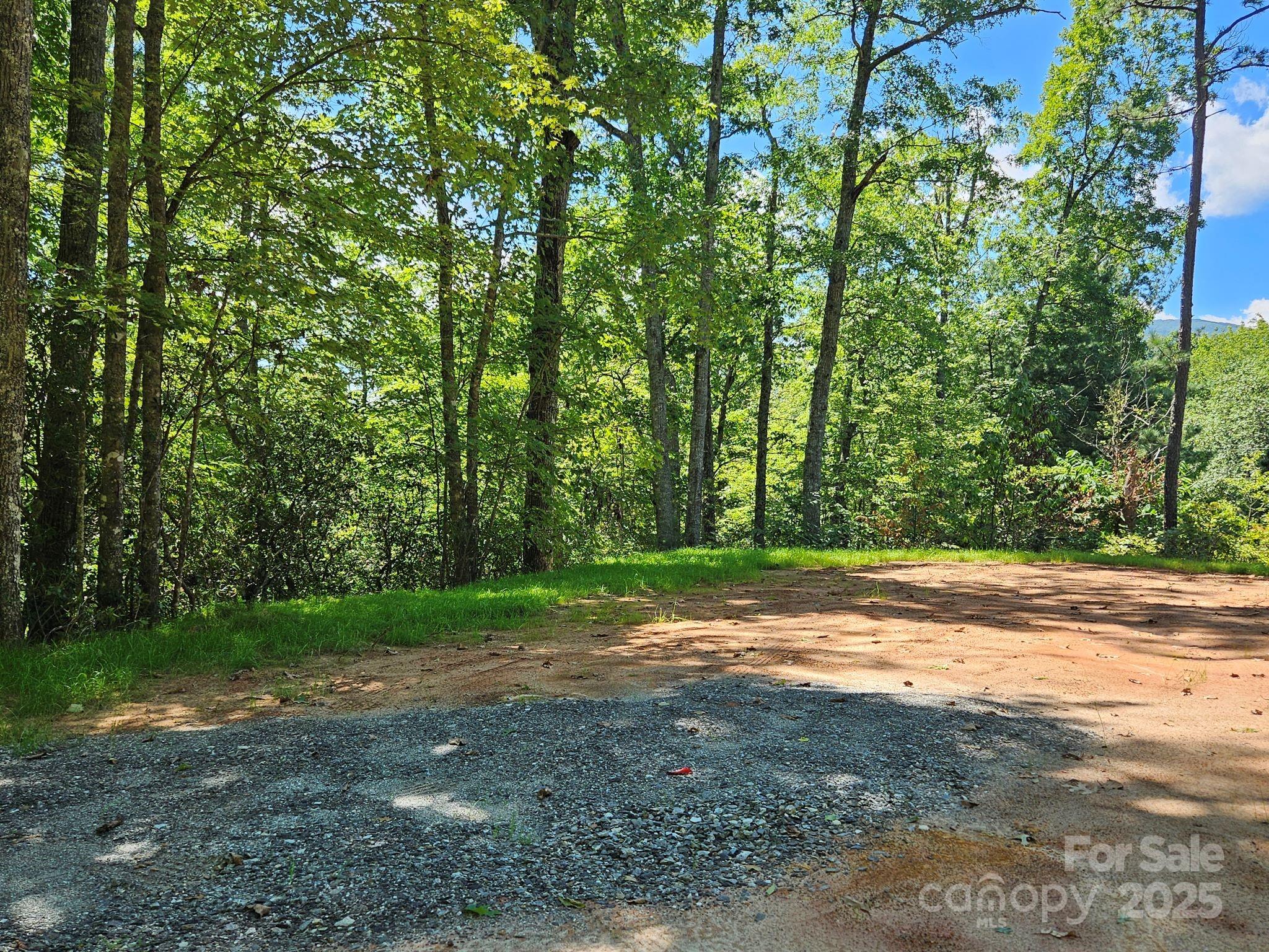 0 Blue Vista Road Canton NC 28716