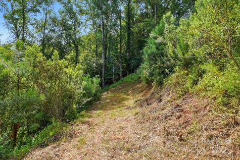 29010 Silver Fox Drive Tega Cay SC 29708