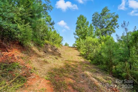 29010 Silver Fox Drive Tega Cay SC 29708