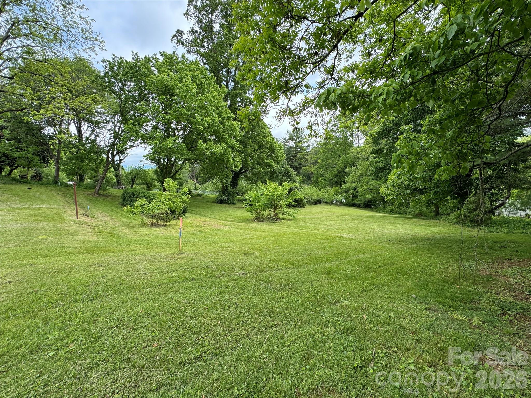 46 Green Hill Avenue Asheville NC 28806