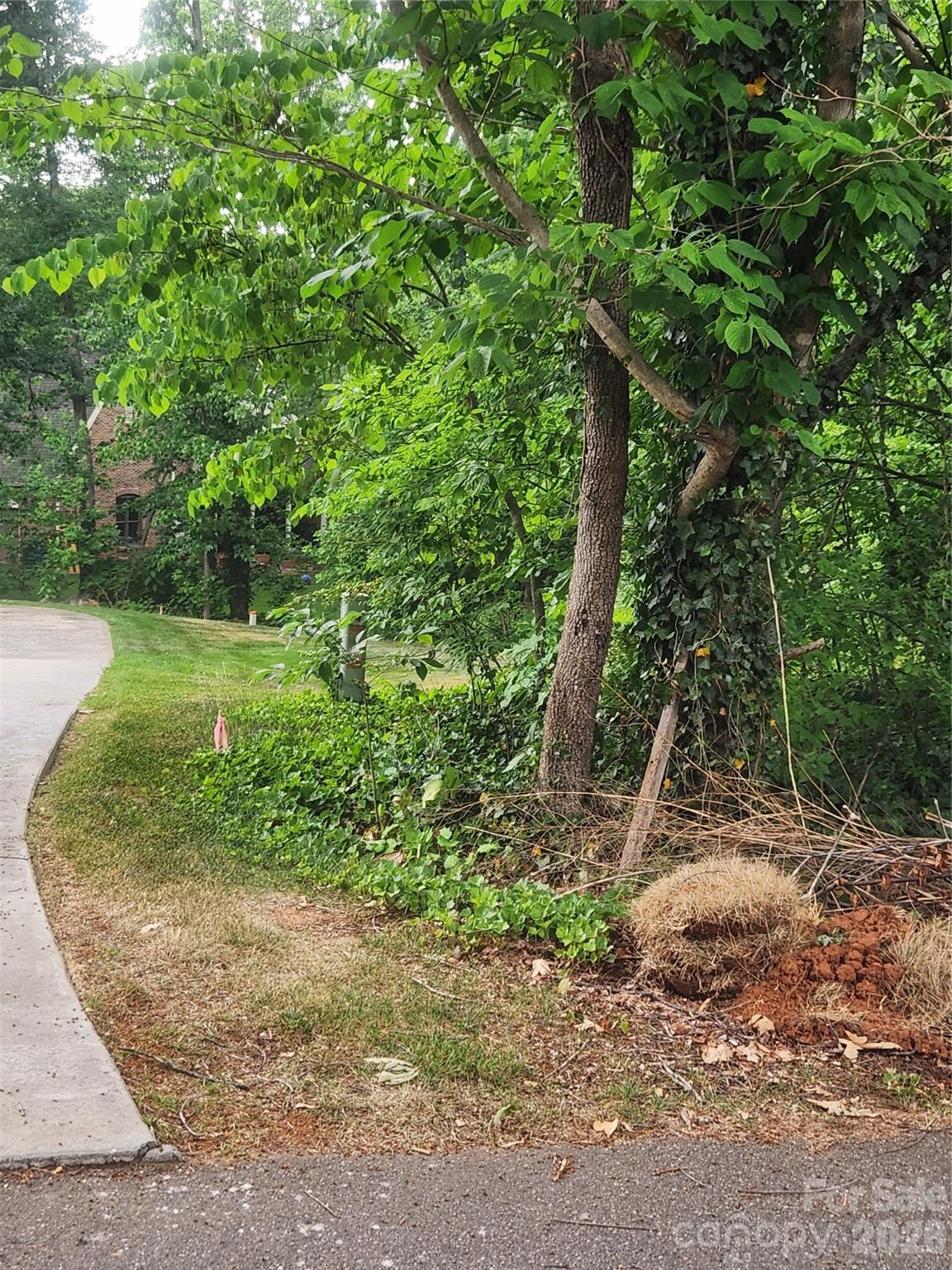 205 7th Street Place NE Conover NC 28613