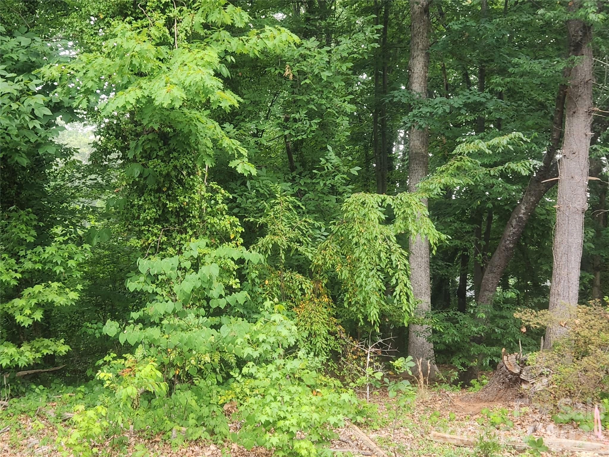 205 7th Street Place NE Conover NC 28613