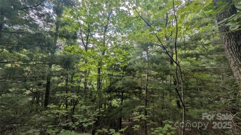 00 Pinewood Drive Waynesville NC 28786