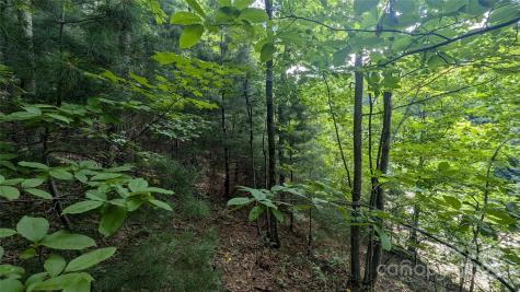 00 Pinewood Drive Waynesville NC 28786