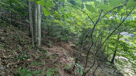 00 Pinewood Drive Waynesville NC 28786