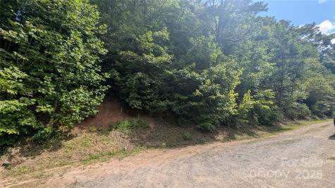 00 Pinewood Drive Waynesville NC 28786