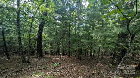 00 Pinewood Drive Waynesville NC 28786