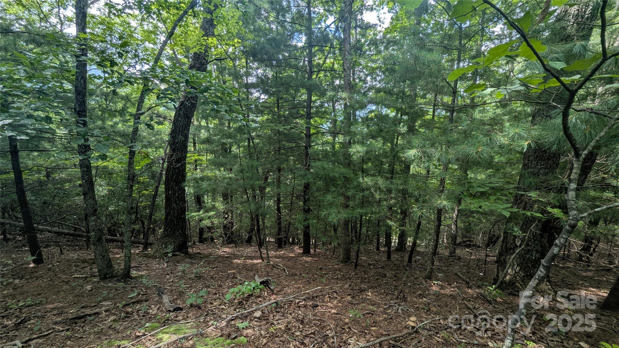 00 Pinewood Drive Waynesville NC 28786