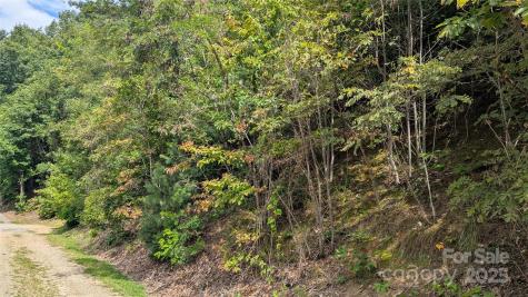 00 Pinewood Drive Waynesville NC 28786