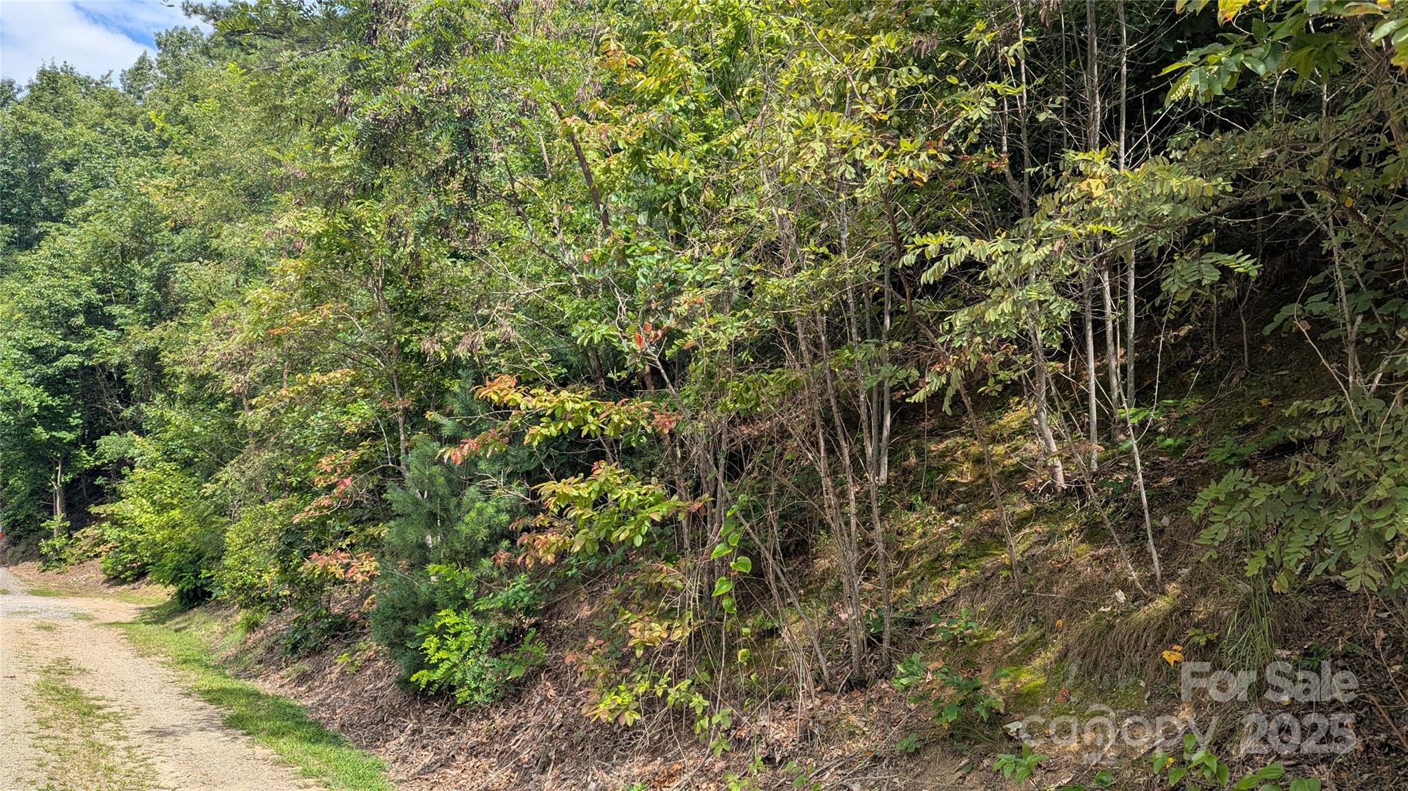 00 Pinewood Drive Waynesville NC 28786