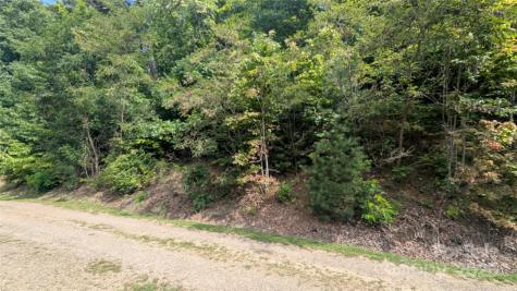 00 Pinewood Drive Waynesville NC 28786