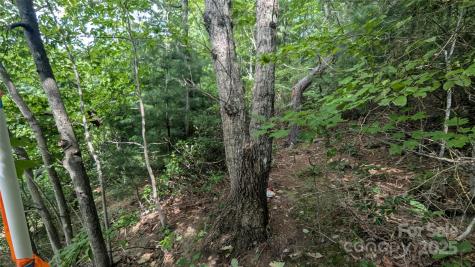 00 Pinewood Drive Waynesville NC 28786