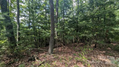 00 Pinewood Drive Waynesville NC 28786