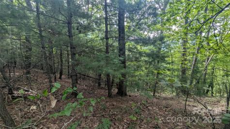 00 Pinewood Drive Waynesville NC 28786