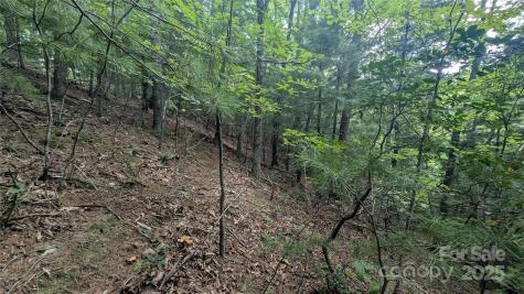 00 Pinewood Drive Waynesville NC 28786