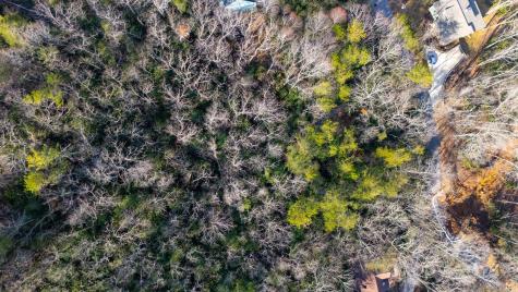 99999 Hilltop Road Black Mountain NC 28711