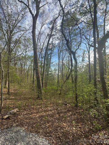99999 Buffalo Trail Asheville NC 28805
