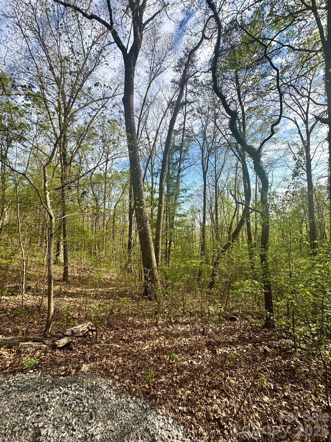 99999 Buffalo Trail Asheville NC 28805
