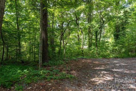 99999 Buffalo Trail Asheville NC 28805