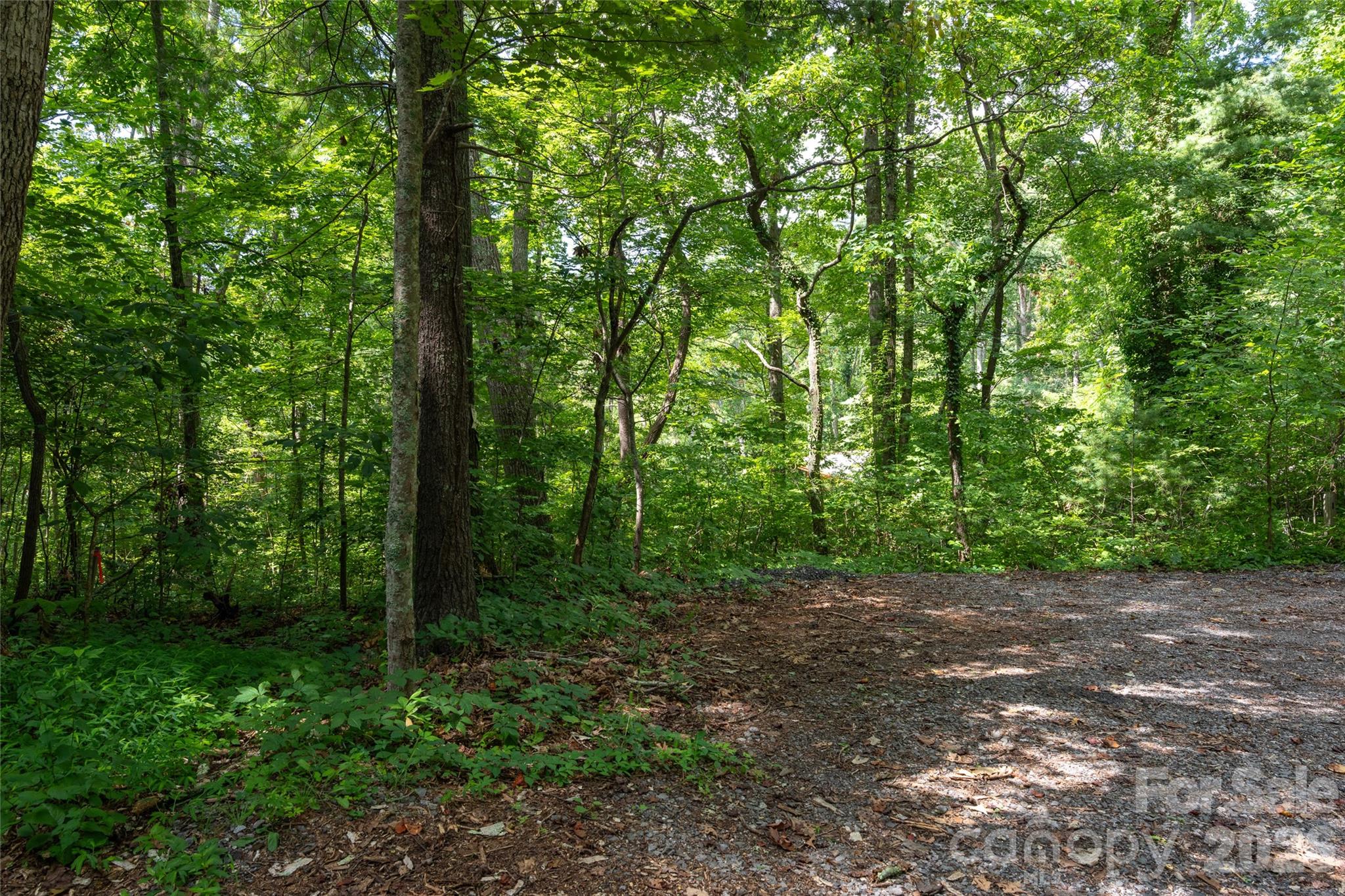 99999 Buffalo Trail Asheville NC 28805