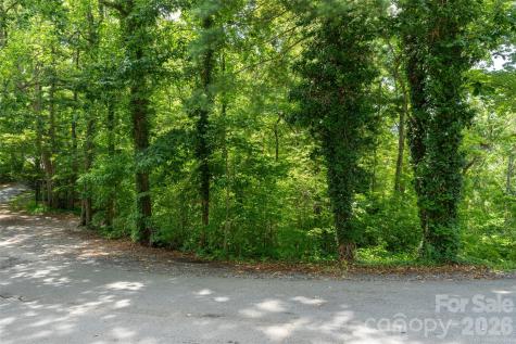 99999 Buffalo Trail Asheville NC 28805