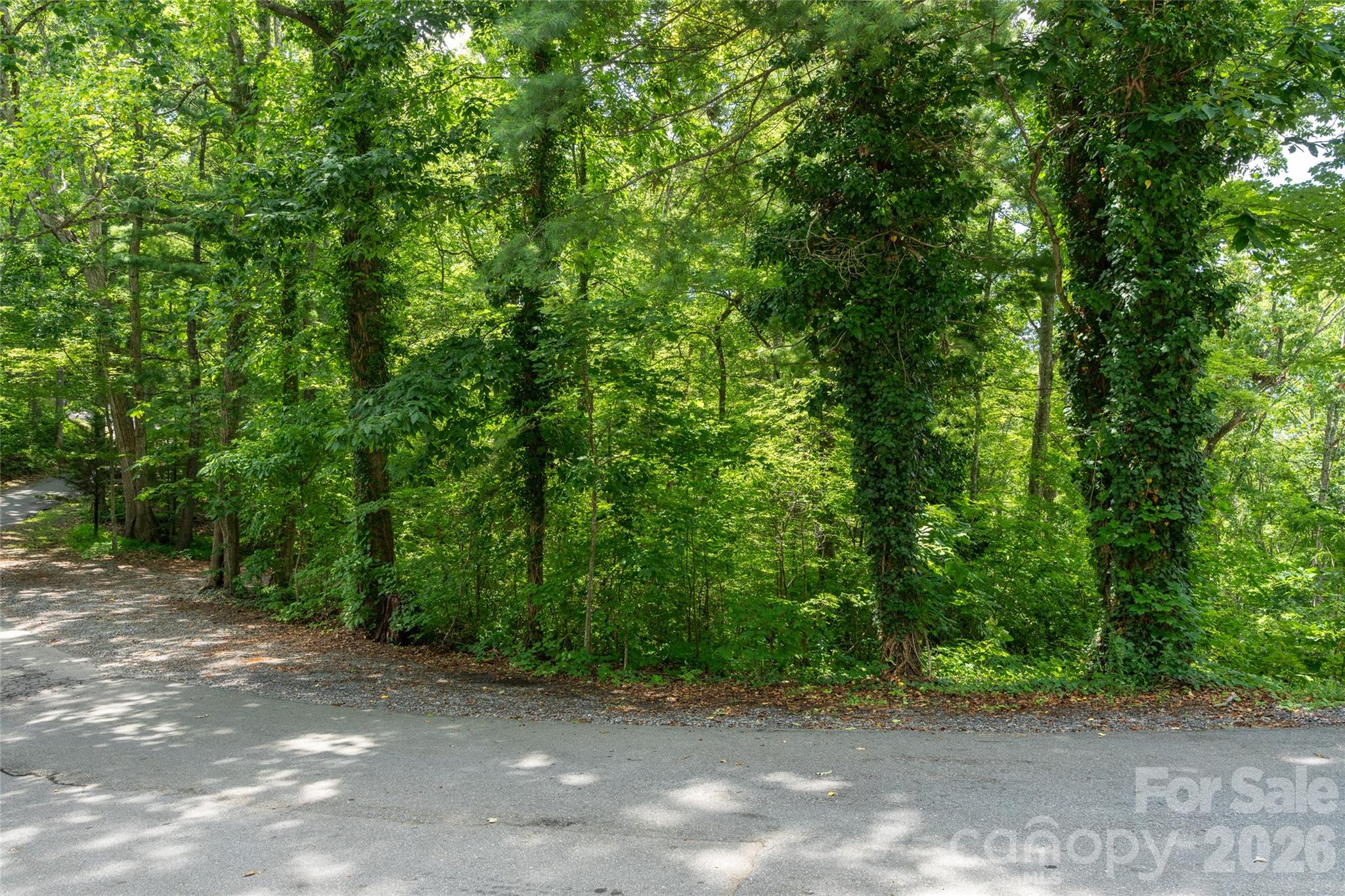 99999 Buffalo Trail Asheville NC 28805