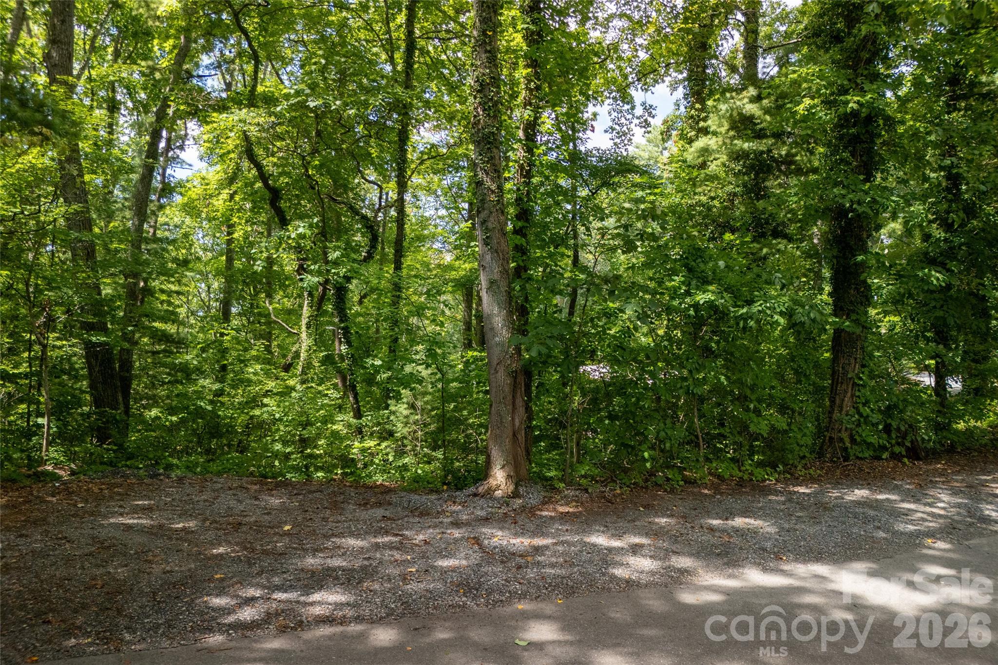 99999 Buffalo Trail Asheville NC 28805
