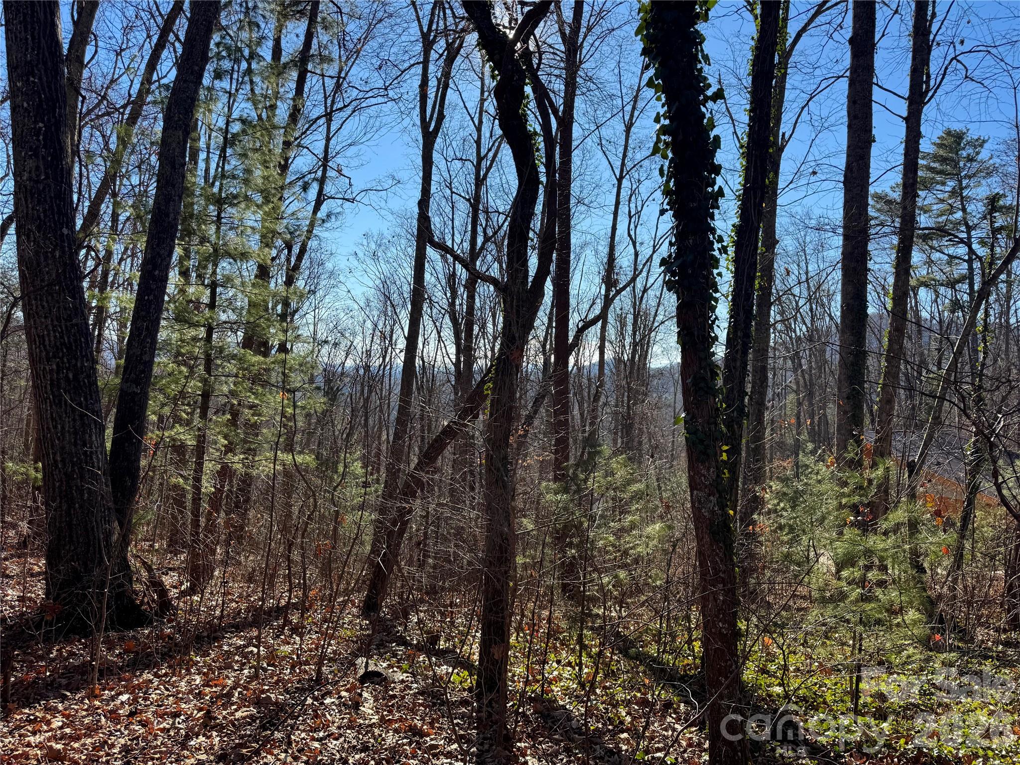 99999 Buffalo Trail Asheville NC 28805