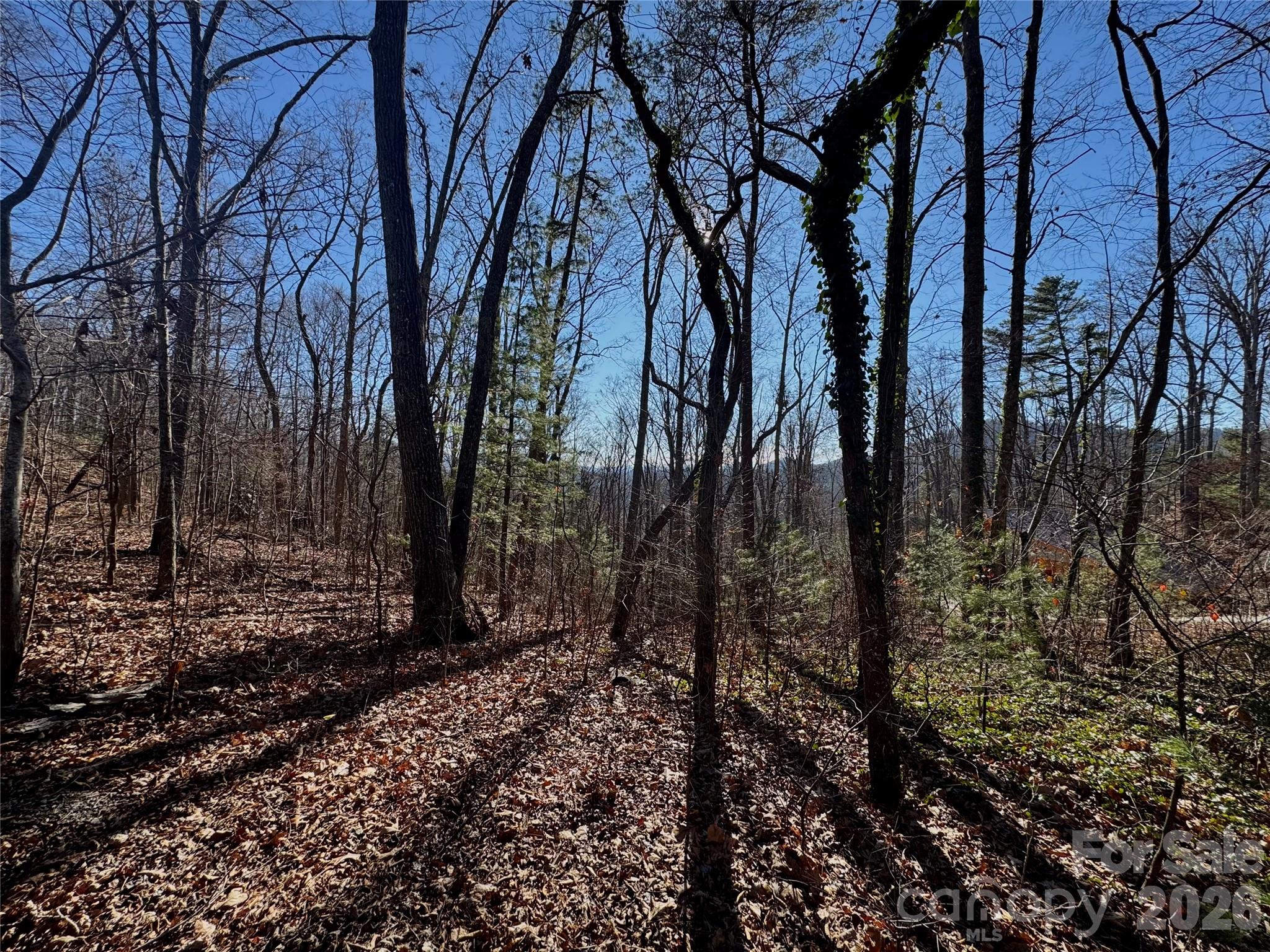99999 Buffalo Trail Asheville NC 28805