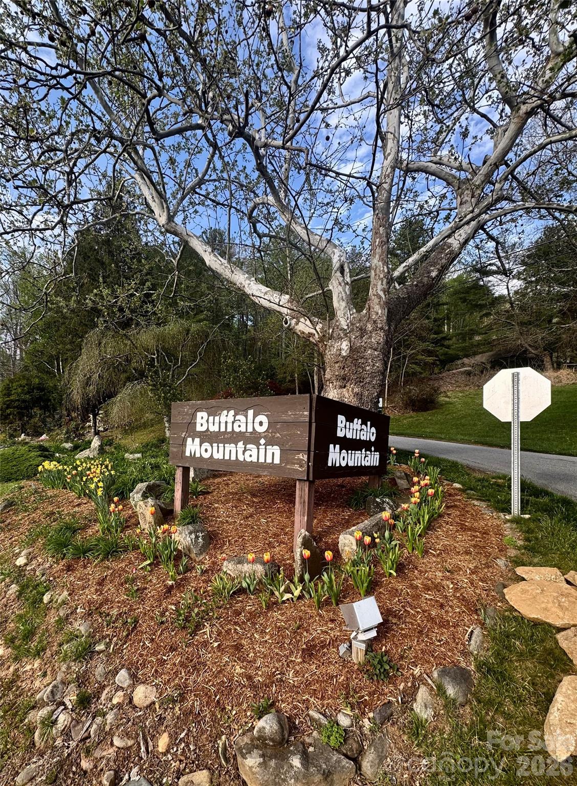99999 Buffalo Trail Asheville NC 28805