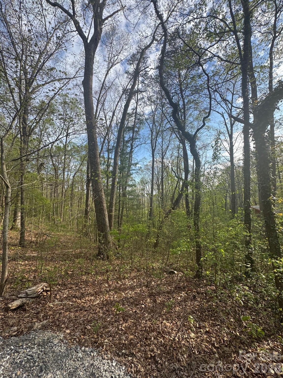 99999 Buffalo Trail Asheville NC 28805