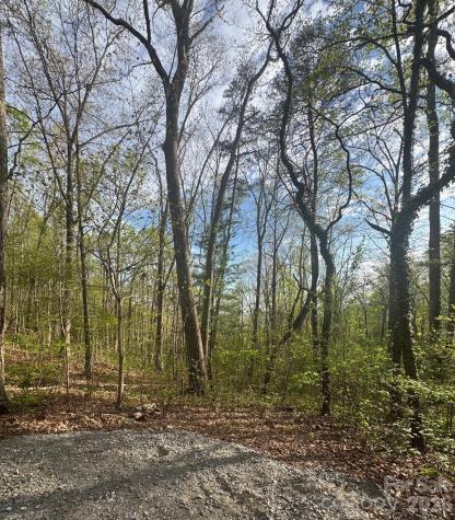 99999 Buffalo Trail Asheville NC 28805