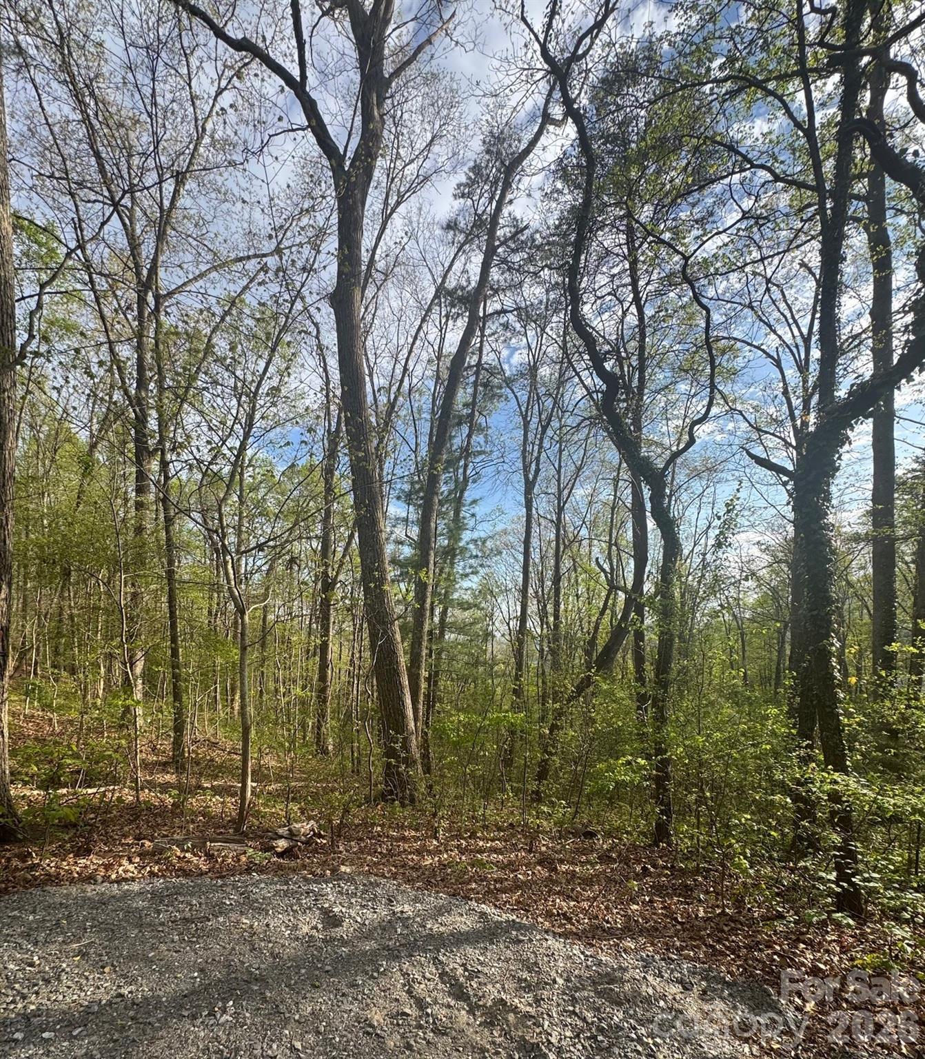 99999 Buffalo Trail Asheville NC 28805