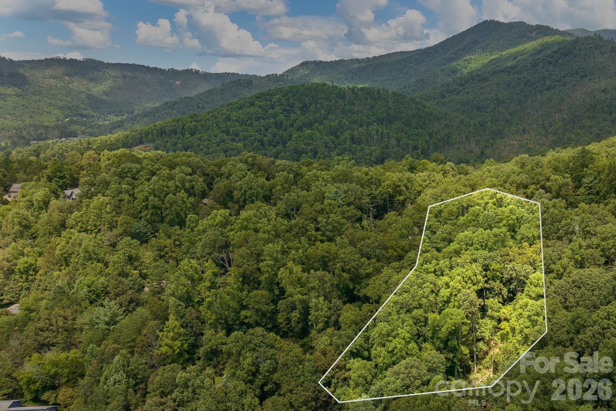 99999 Buffalo Trail Asheville NC 28805