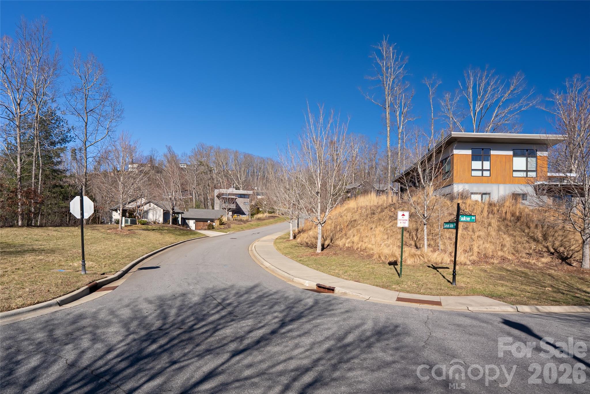 15 La Grange Drive Asheville NC 28805
