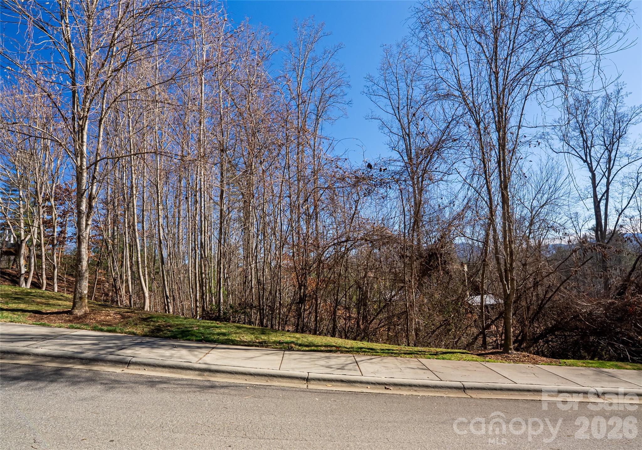 15 La Grange Drive Asheville NC 28805