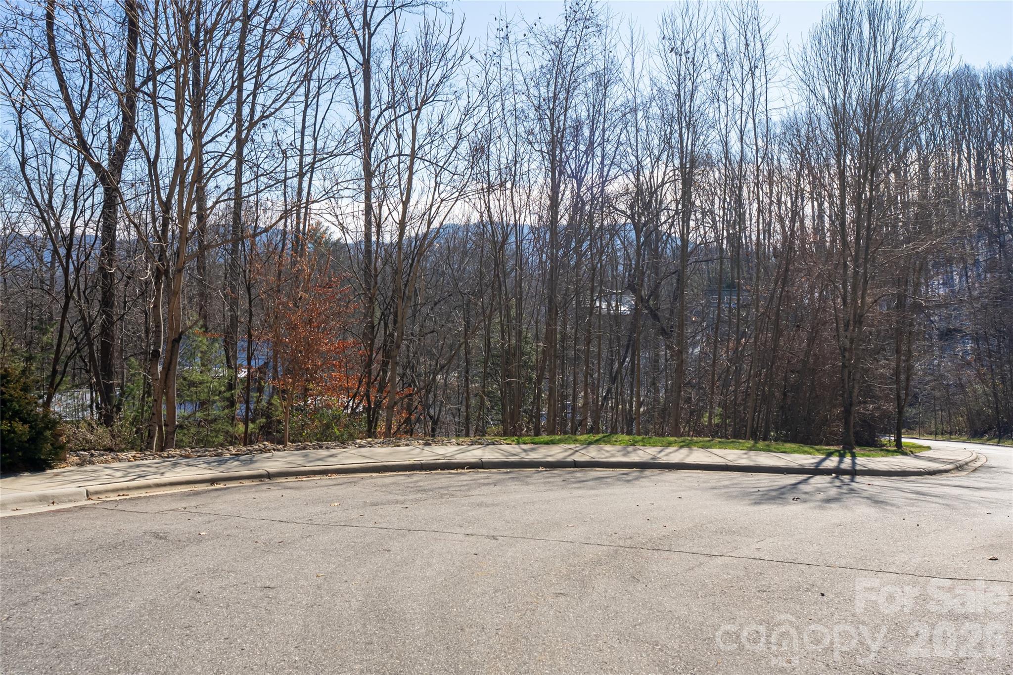 15 La Grange Drive Asheville NC 28805