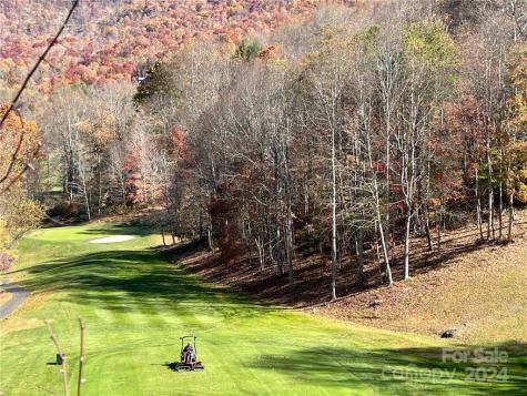0 Divot Drive Canton NC 28716