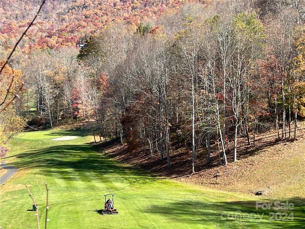 0 Divot Drive Canton NC 28716