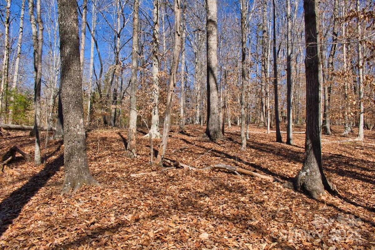 0 Cinnamon Ridge Rutherfordton NC 28139