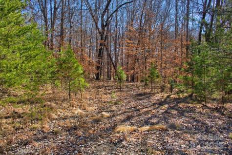 0 Cinnamon Ridge Rutherfordton NC 28139