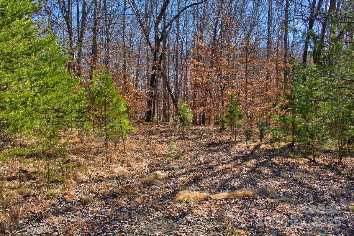0 Cinnamon Ridge Rutherfordton NC 28139