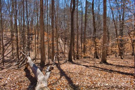 0 Cinnamon Ridge Rutherfordton NC 28139