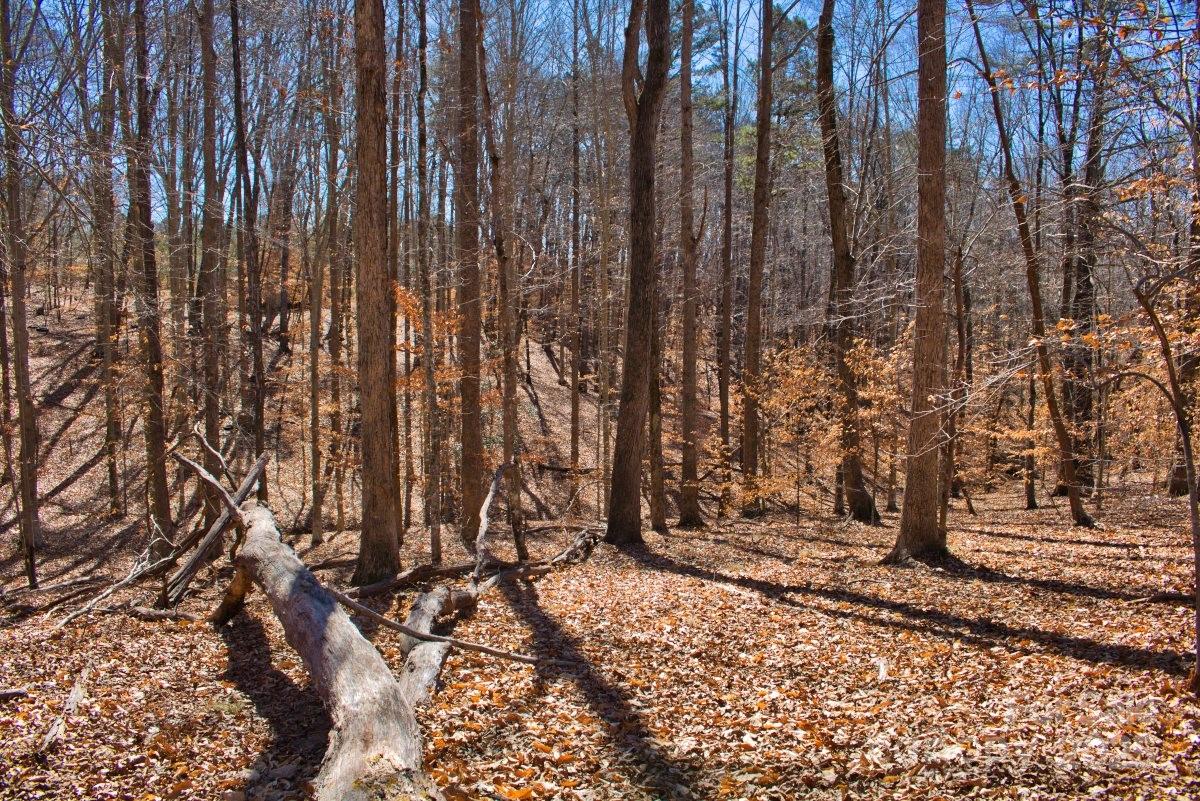 0 Cinnamon Ridge Rutherfordton NC 28139