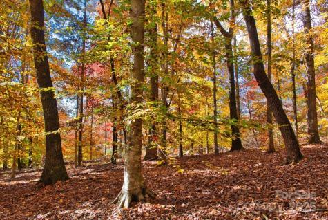 0 Cinnamon Ridge Rutherfordton NC 28139