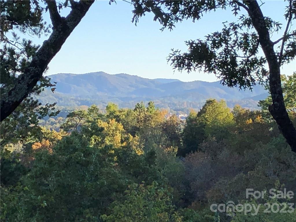 Lot M6 Pine Mountain Trail Brevard NC 28712