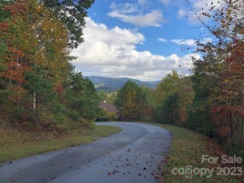 Lot M6 Pine Mountain Trail Brevard NC 28712