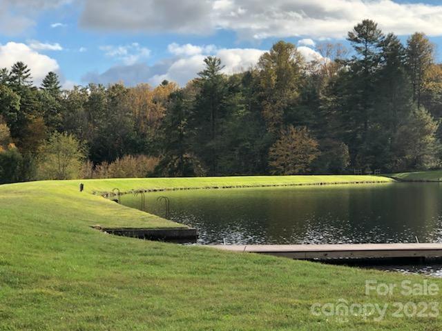 Lot M6 Pine Mountain Trail Brevard NC 28712