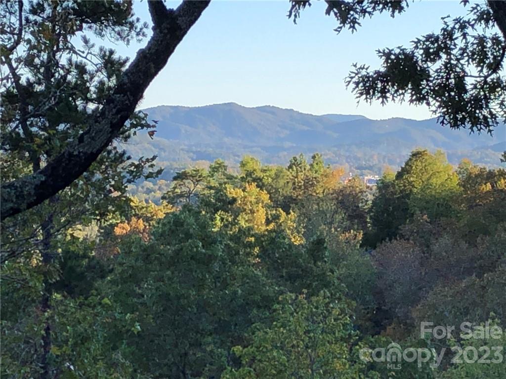Lot M6 Pine Mountain Trail Brevard NC 28712