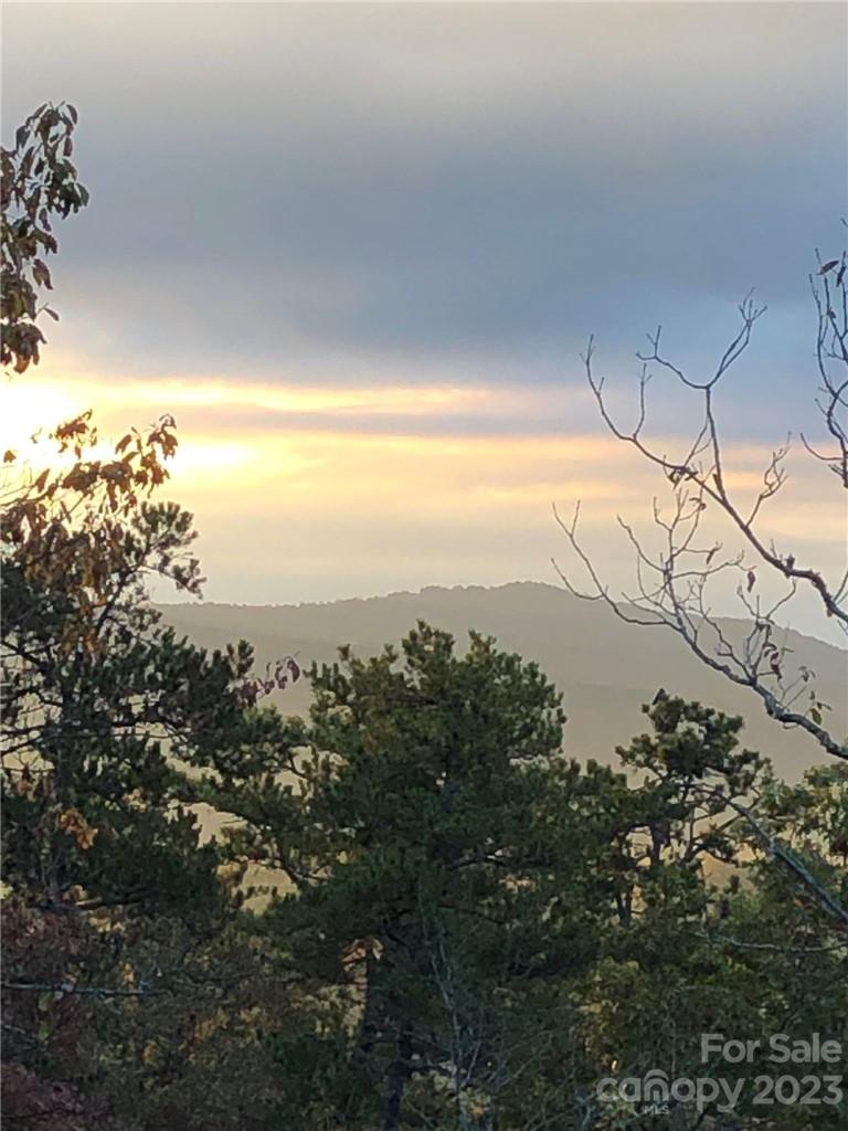 Lot M6 Pine Mountain Trail Brevard NC 28712